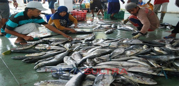 Pasar Pelelangan Ikan Kendari