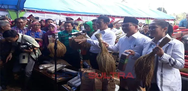 Menteri Pertanian Amran Sulaiman di Buton Utara TInjau Pertanian Organik