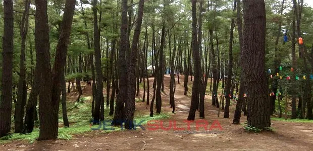 Hutan Puncak Sorombipi Koltim