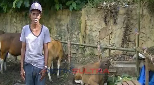 aco tukang parkir di pasar sentral kendari