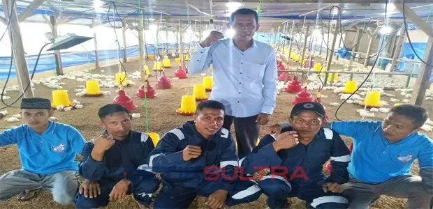 Peternak Ayam Potong