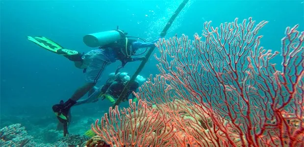 Persiapan Upacara Bawah Laut di wakatobi