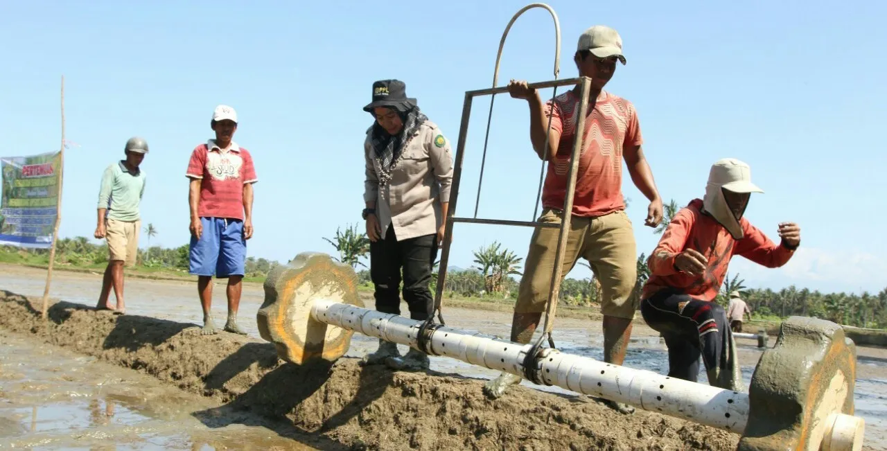 petani di kolaka