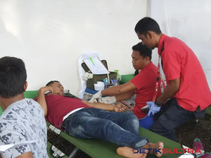 donor darah
