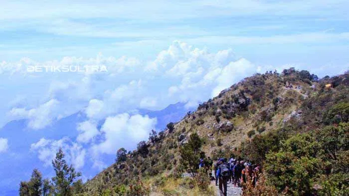 12 Pendaki Hilang di Gunung Mekongga