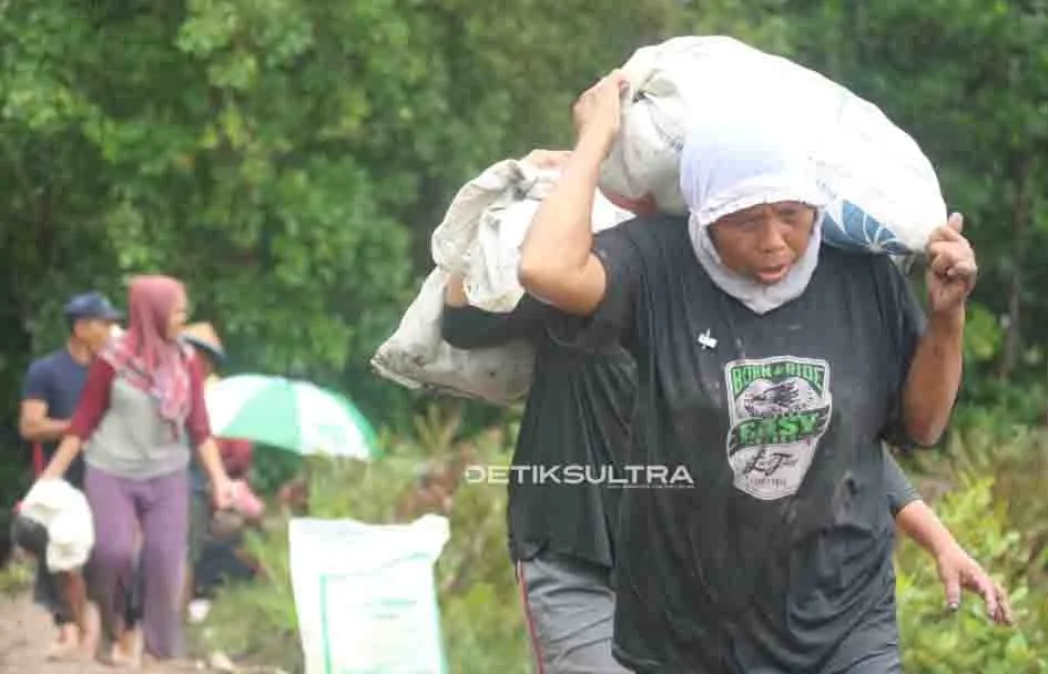 Cari Kerang di Lumpur Berhadiah Jutaan Rupiah
