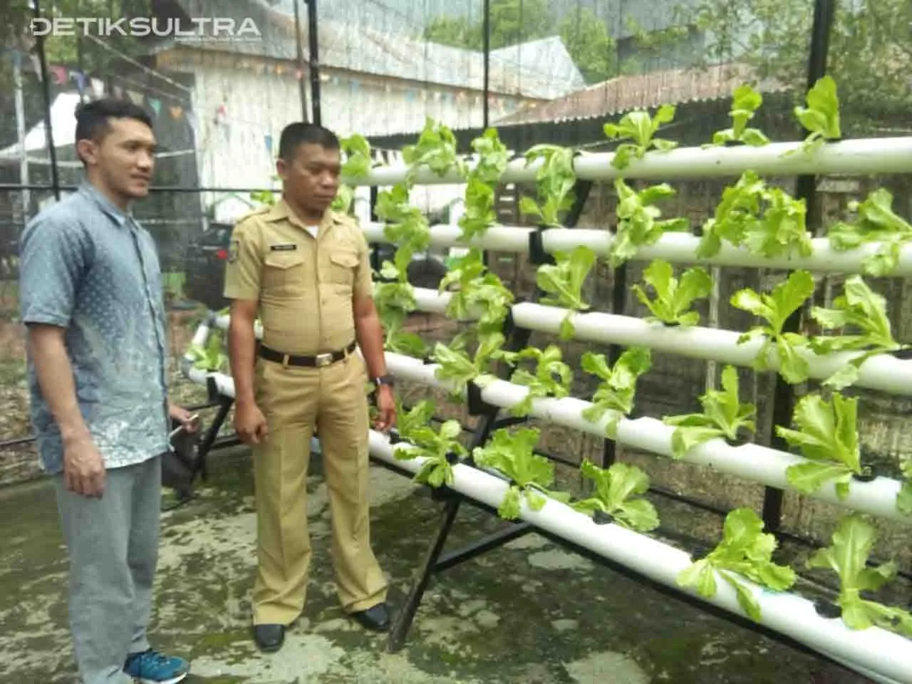 Kelurahan Bende Bangun Kemandirian Pangan dengan Hidroponik