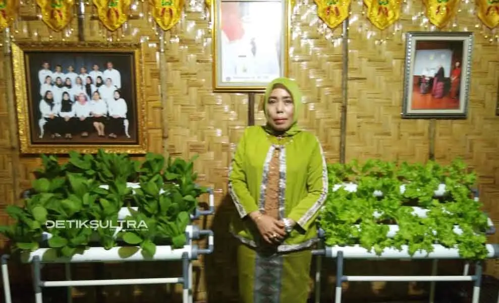 HUT Kendari, Dinas Pangan Hadirkan Inovasi Hidroponik