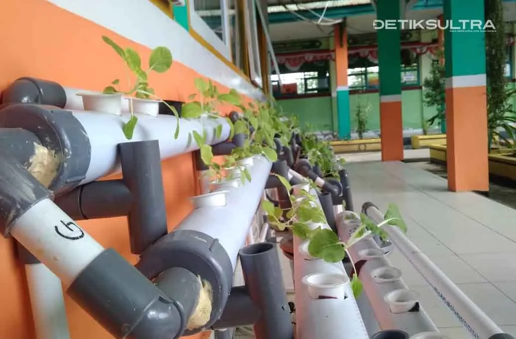 MTsN 1 Kendari Kembangkan Tanaman Hidroponik