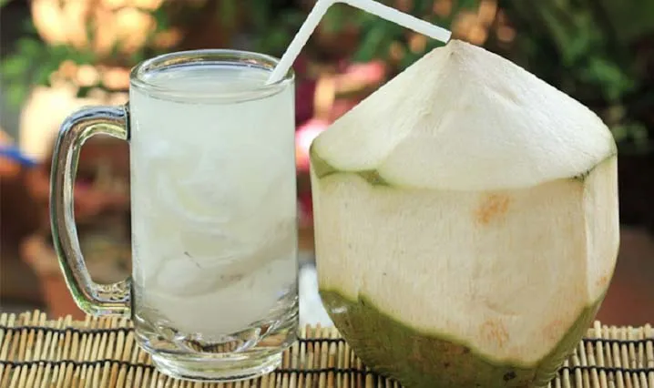 Ilustrasi air kelapa