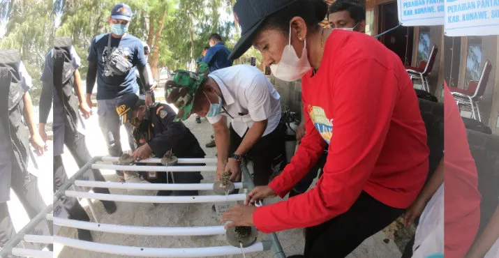 Peringati CT Day, KKP Inisiasi Coral Stock Center di Perairan Pulau Bokori