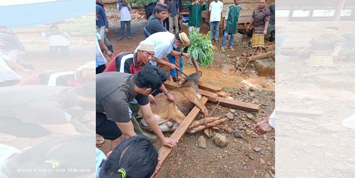 Tiran Group Salurkan 10 Ekor Hewan Kurban di Konut