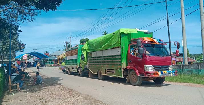 Jalan Poros Ambaipua-Motaha-Lambuya Diblokade, Puluhan Truk Logistik Tertahan