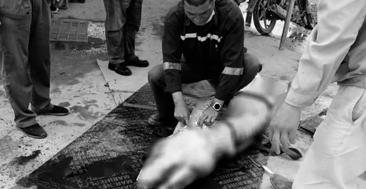 Kasus Pembantaian Buaya di Morosi Belum Ada Titik Terang