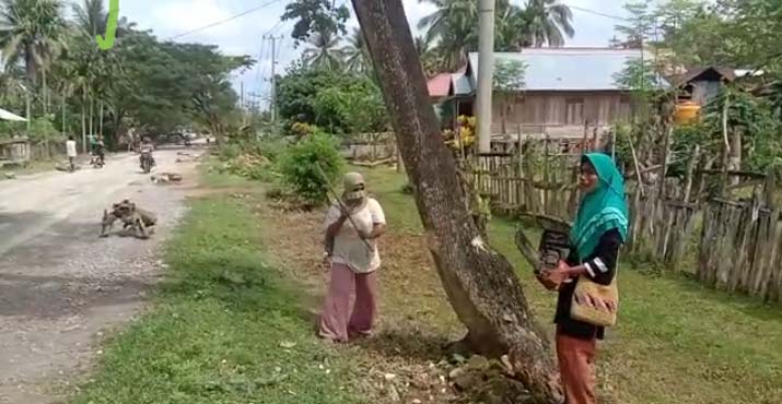 Viral, Emak-emak Tebang Pohon dan Blokade Jalan Poros Raha-Lakapera