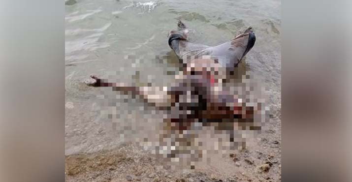 Empat Hari Hilang, Mayat Nelayan Buton Ditemukan Terdampar di Pesisir Pantai Muna