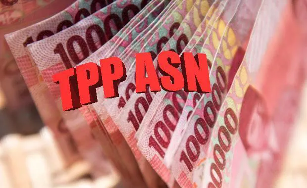 Ilustrasi tpp asn