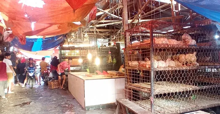 Pertengahan Ramadan, Harga Ayam Broiler dan Telur di Kendari Masih Normal
