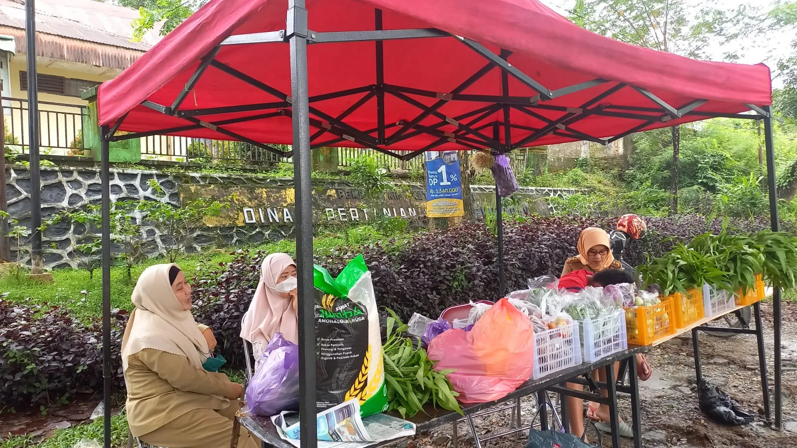 Pemkot Kendari Gelar Pasar Tani Tiap Jumat, Hadirkan Sayuran Organik