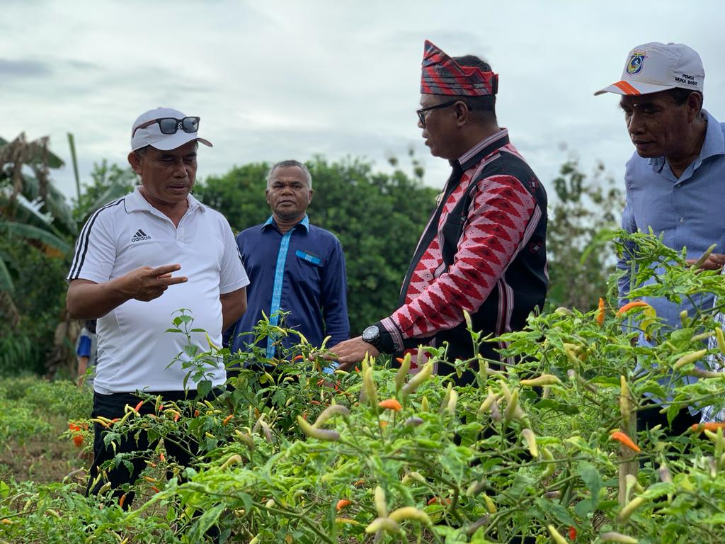 Dukung Upaya Pemerintah Pusat Tekan Inflasi, Pj Bupati Mubar Kunjungi Petani Cabai