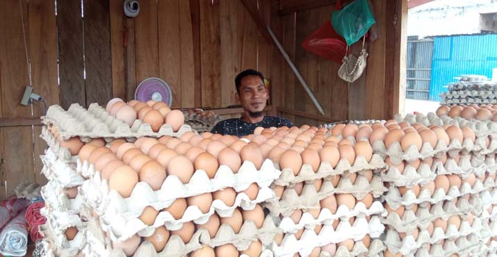 Harga Telur Ayam di Kendari Mulai Turun