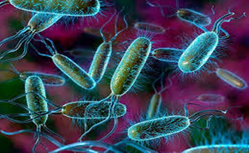 Air PDAM Mengandung Bakteri E-coli, Pj Wali Kota Bakal Uji Lab Kembali