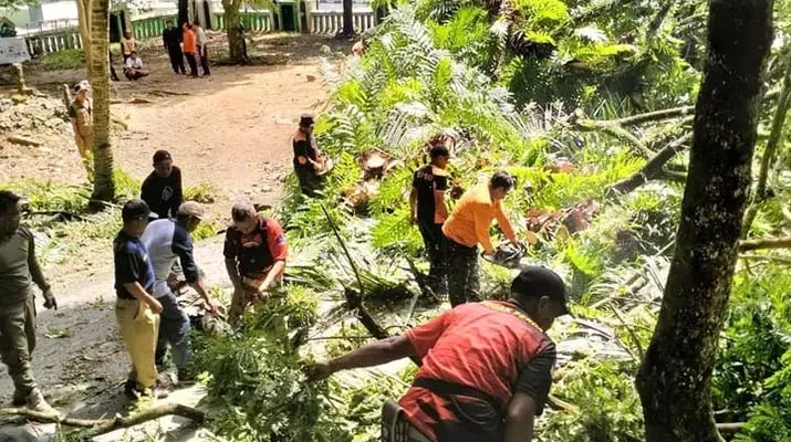 Antisipasi Cuaca Buruk di Kendari, Tim Satgas Penataan Kota Lakukan Penebangan Pohon