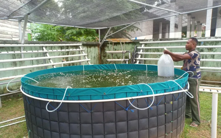 Jaga Ketahanan Pangan, Kodim Buton Budidaya Ikan dengan Sistem Bioflok