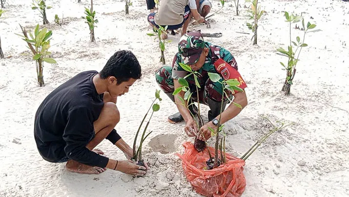 Pengelola Taman Nasional dan Kodim Buton Ajak Warga Tanam Mangrove di Pesisir