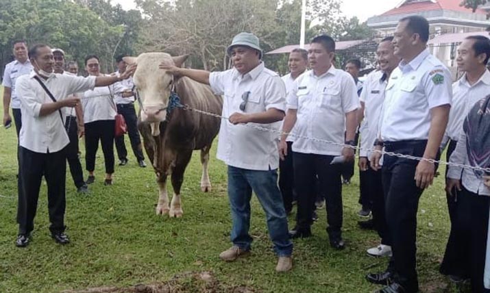 DPRD Konawe Dukung Program Inseminasi Buatan Demi Wujudkan Swasembada Daging