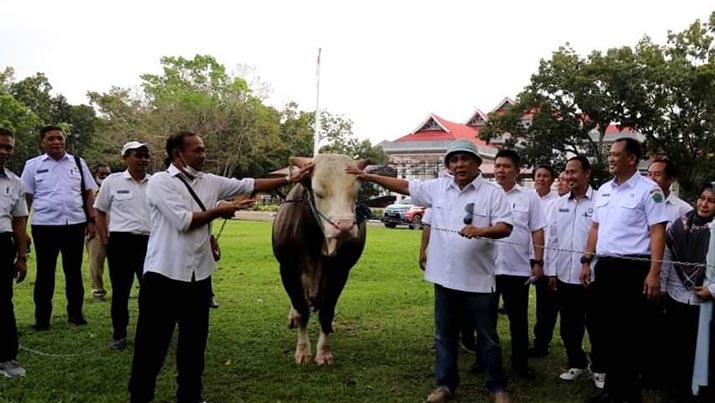 DPRD Konawe Dukung Program Inseminasi Buatan Demi Wujudkan Swasembada Daging