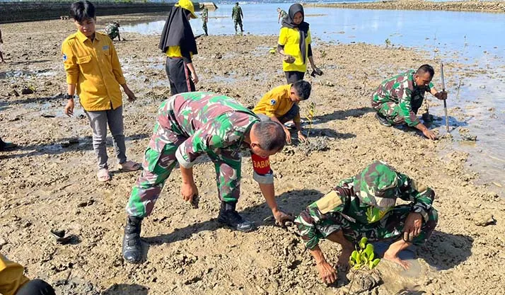 Kodim Buton Bersama Mahasiswa dan Pemuda Tanam Pohon Mangrove di Baubau