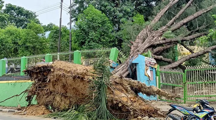 Sultra Masih akan Diguyur Hujan Lebat dan Angin Kencang Sepekan ke Depan