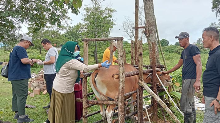 Dinas Pertanian dan Balai Besar Veteriner Makassar Vaksin Ternak Milik Lapas Kendari