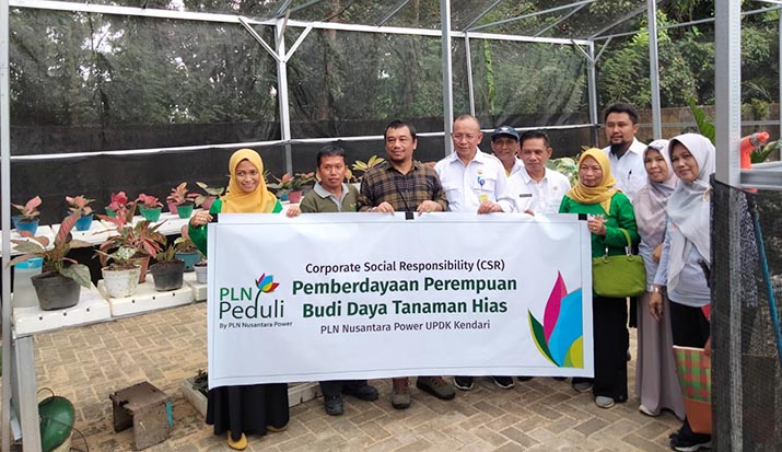PLN NP UPDK Kendari Dorong Pemberdayaan Kelompok Tani Asnuri Flowers di Konsel