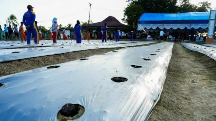 Program Ketahanan Pangan Siswa, Dikbud Sultra Dorong Wawasan Peserta Didik