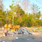 Buteng Darurat Sampah, Komisi III DPRD: Pemda Harus Cari Solusi
