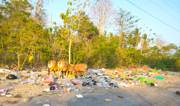 Buteng Darurat Sampah, Komisi III DPRD: Pemda Harus Cari Solusi
