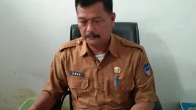 Stok Ikan di Kolaka Jelang Tahun Baru Dipastikan Aman