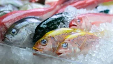 Pengawetan ikan Es di TPI Wameo Diaktifkan Kembali