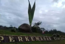 Jelang Kemah Eksekutif, Kwarcab Baubau Lakukan Pengecekan Bumper Samparona
