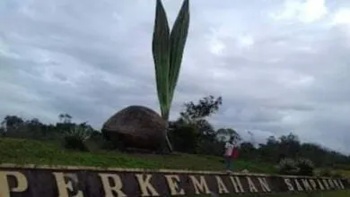 Jelang Kemah Eksekutif, Kwarcab Baubau Lakukan Pengecekan Bumper Samparona