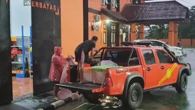 Perempuan di Konsel Hilang Usai Diterkam Buaya