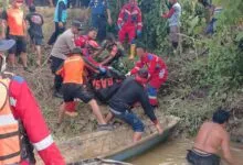 Korban yang Diterkam Buaya di Konsel Ditemukan Meninggal