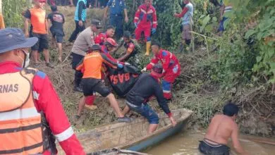 Korban yang Diterkam Buaya di Konsel Ditemukan Meninggal