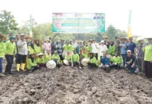 Pemkab Konut Target 1.000 Hektare untuk Penanaman Perdana Komoditi Wijen