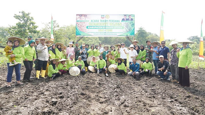 Pemkab Konut Target 1.000 Hektare untuk Penanaman Perdana Komoditi Wijen