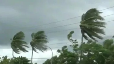 BMKG Imbau Masyarakat Baubau Waspada Cuaca Ekstrem