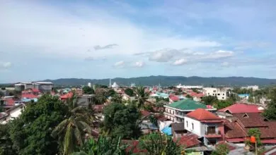 Capai 78 Poin, Indeks Lingkungan Hidup di Sultra Berstatus Baik
