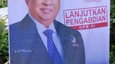 Walhi Sultra Desak Bawaslu Tindaki Baliho Caleg yang Dipajang di Pohon
